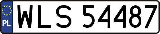 WLS54487