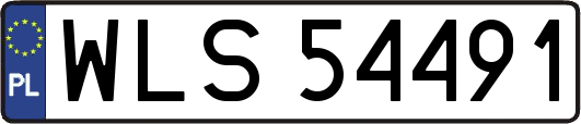 WLS54491