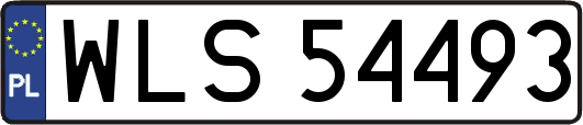 WLS54493