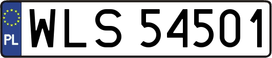 WLS54501