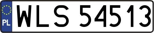 WLS54513