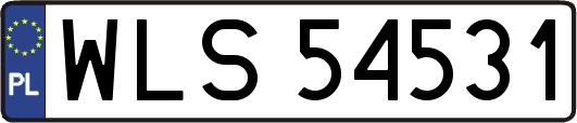 WLS54531