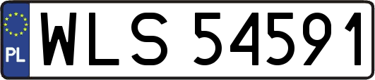 WLS54591
