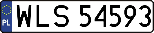 WLS54593