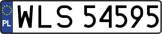 WLS54595