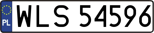 WLS54596