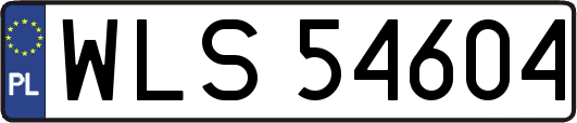 WLS54604