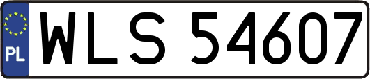 WLS54607