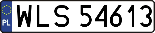 WLS54613