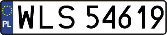 WLS54619