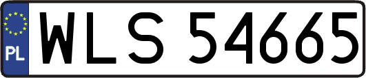 WLS54665