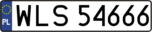 WLS54666
