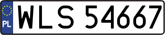 WLS54667
