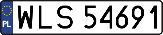 WLS54691