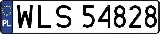 WLS54828