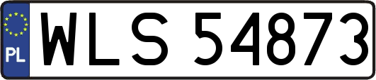 WLS54873