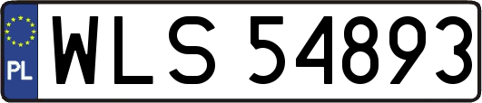 WLS54893