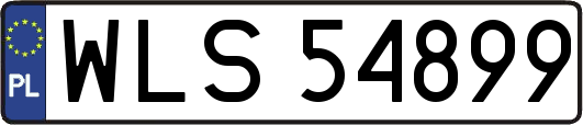 WLS54899
