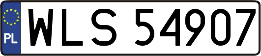 WLS54907