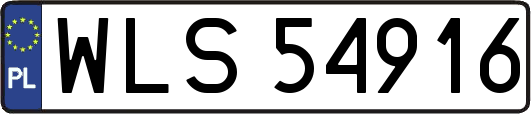 WLS54916