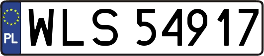WLS54917