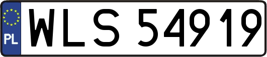 WLS54919