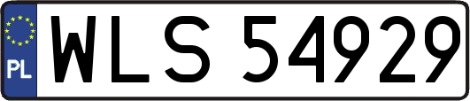 WLS54929