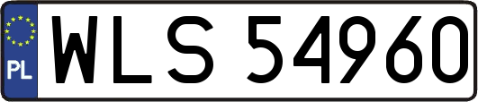 WLS54960