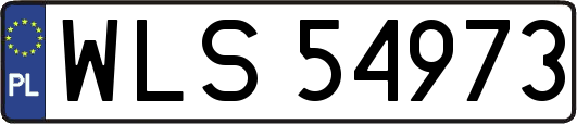 WLS54973