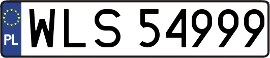 WLS54999
