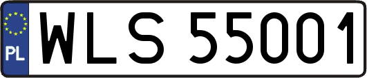 WLS55001