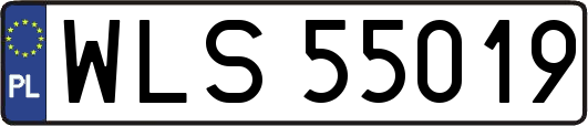 WLS55019