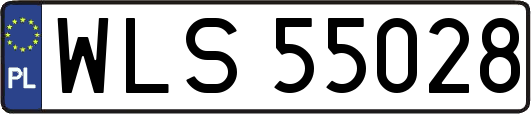 WLS55028