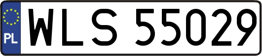 WLS55029