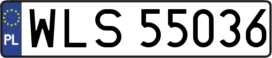 WLS55036