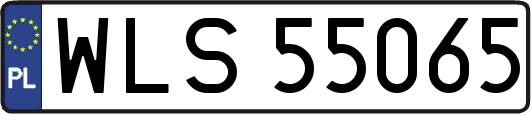 WLS55065