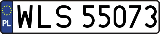 WLS55073
