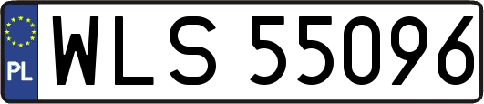WLS55096