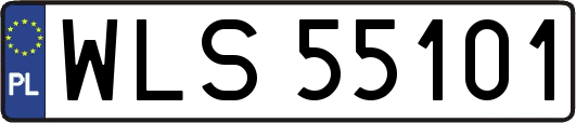 WLS55101