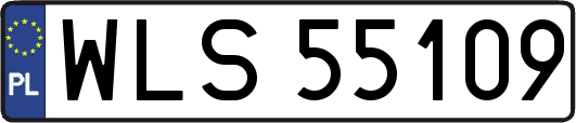 WLS55109