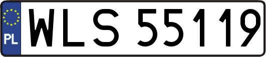 WLS55119