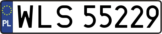 WLS55229