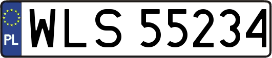 WLS55234