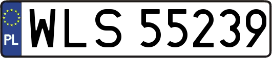 WLS55239