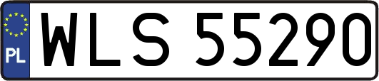 WLS55290
