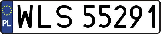 WLS55291