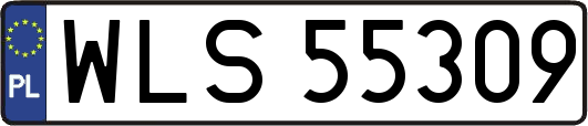 WLS55309