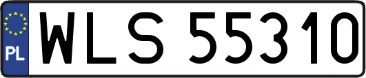 WLS55310