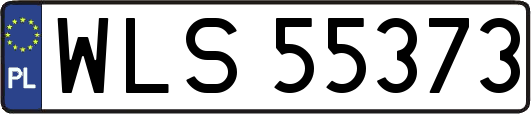 WLS55373
