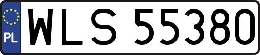 WLS55380